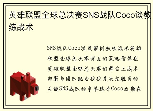 英雄联盟全球总决赛SNS战队Coco谈教练战术